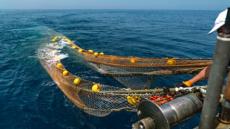 البحر المتوسط بين الوعي البيئي وإرث كوستو: من “العالم الصامت” إلى ضجيج البيانات