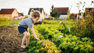 دليل متفائل لتغير المناخ