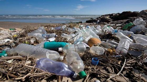 التغلب على التلوث البلاستيكي