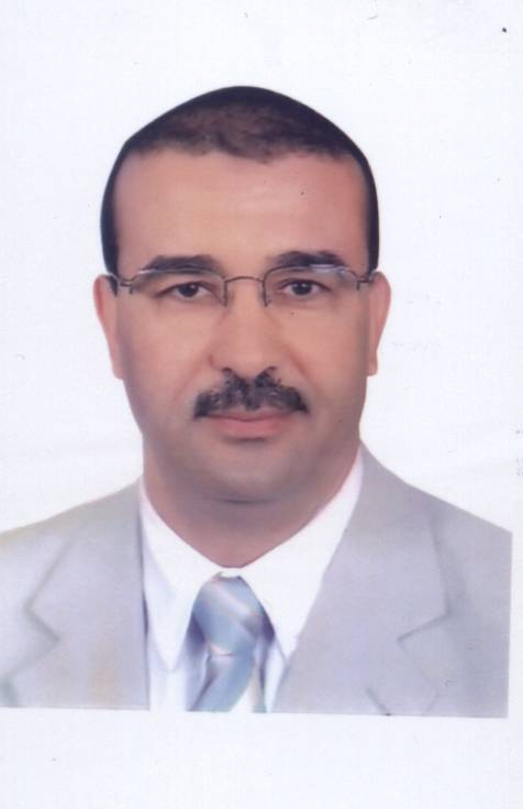 الدكتور حسن حلمى