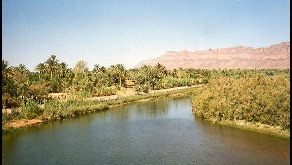 Morocco oasis
