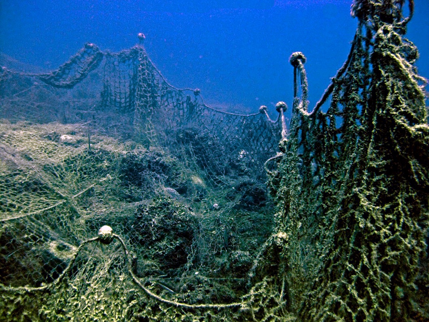 Abandoned nets lay on the sea bed off the coast