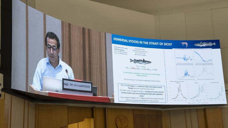 gfcm_sac__mediterranean__sustainablefisheries___g (2)