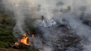 Image processed by CodeCarvings Piczard ### FREE Community Edition ### on 2017-08-16 17:14:46Z | |