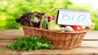 المعرض الدولي الثاني للمنتوجات البيولوجية والفلاحة المستدامة بمدينة أجان الفرنسية