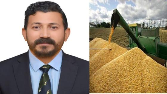 الرؤية الاستراتيجية لإدارة وزراعة وإنتاج المحاصيل الحقلية في العراق والوطن العربي لتحقيق الأمن الغذائي المستدام(محصول القمح انموذجاً)