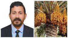 الرؤية الواعدة للنهوض بواقع ومستقبل شجرة نخيل التمور في العراق ودول الخليج العربي