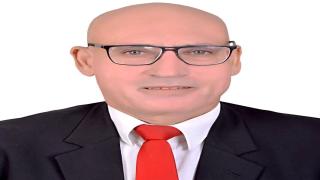 ثورة في العمارة: عندما تصبح المباني كائنات حية مستقلة بفضل النمل الأبيض