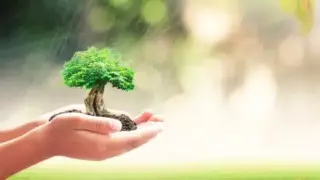 النبي محمد صلى الله عليه وسلم… نبي البيئة والرحمة الكونية