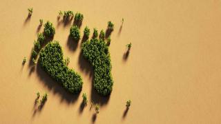 Human foot print symbol made of green trees on recycled paper. High angle view. Horizontal composition with copy space. Green energy and carbon footprint concept.