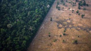 Healthy vegetation sits alongside a field scorched by fire in the Amazon rainforest in Rondonia state, Brazil. Photographer: Leonardo Carrato/Bloomberg