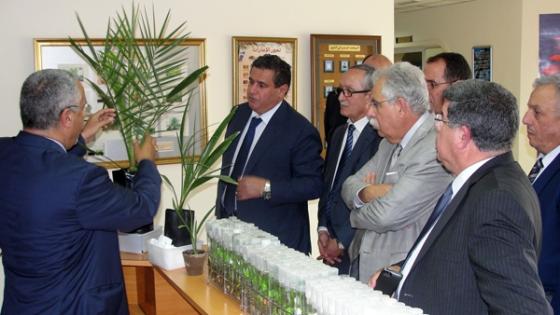 وزير الفلاحة المغربي يطلع على انجازات الدولة في زراعة النخيل وإنتاج التمور