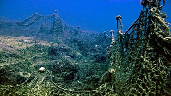شباك مهجورة على قاع البحر قبالة ساحل برينديزي ، في جنوب البحر الأدرياتيكي ، إيطاليا.© GFCM Vincenzo Marra