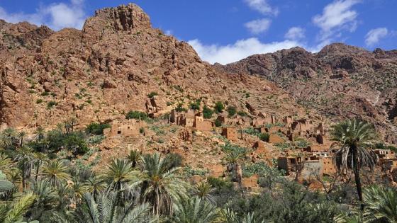 بين الحقيقة والتضليل: كيف تؤثر المعلومات المغلوطة حول البيئة على قرارات محميات المحيط الحيوي؟