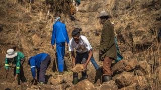 نهج الجنوب العالمي في إدارة العلاقة بين المناخ والتنمية