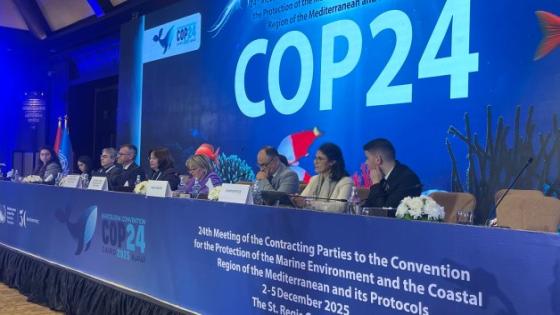 من الاحتفالات إلى الفعل: قراءة نقدية في نتائج “قمة كوب24 ” بالقاهرة