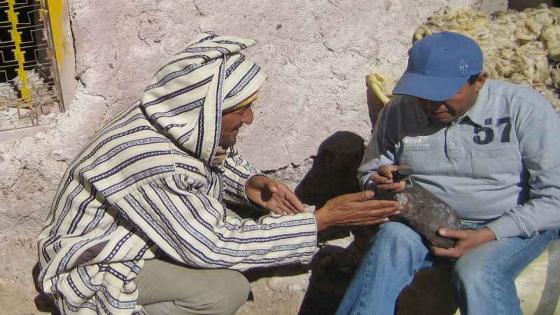 المغاربة أصبحوا «مواطنين علماء» في مجال النيازك