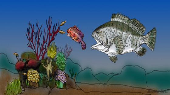 ثانى أكسيد الكربون يجعل الأسماك أكثر جرأة