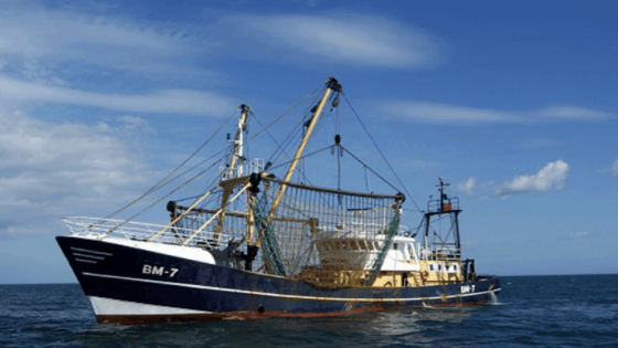 تعزيز فعالية رصد سفن الصيد ومراقبتها والإشراف عليها