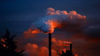 الأحفوريون يبدؤون معركتهم