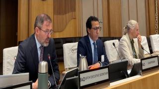 البحر المتوسط على مفترق طرق: انعقاد اللجنة العلمية (GFCM‑SAC) يفتح رهانات الاستدامة والبحث العلمي