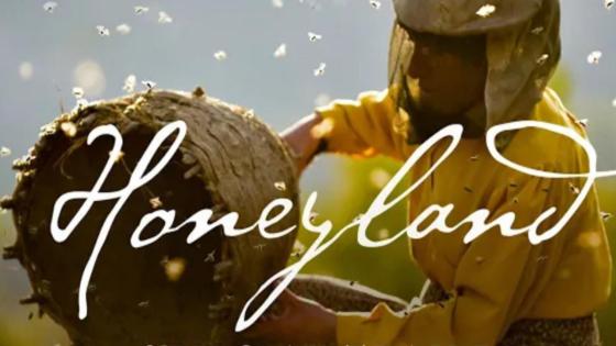 فيلم أرض العسل : “خذ النصف واترك النصف للنحل”