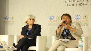 مؤتمر الاطراف كوب 22 : قضايا المناخ والتنمية وتبادل الخبرات