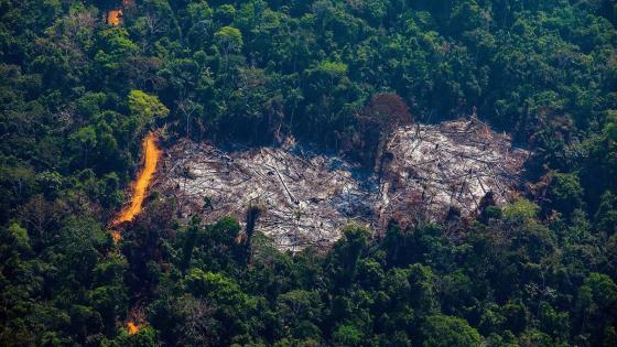 TOPSHOT - Aerial view of deforestation in the Menkragnoti Indigenous Territory in Altamira, Para state, Brazil, in the Amazon basin, on August 28, 2019. (Photo by Joao LAET / AFP) (Photo credit should read JOAO LAET/AFP via Getty Images)