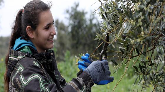 24 March 2021, Akkar, Lebanon - Jana AL-Houri, a 19 years old girl, OSH student graduate, at Beit AL hosh- Bebnine AKKAR North Lebanon. Jana taking care of her own agricultural land