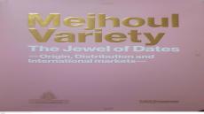 تمر المجهول صنف أصلي وسلالة محلية من المغرب