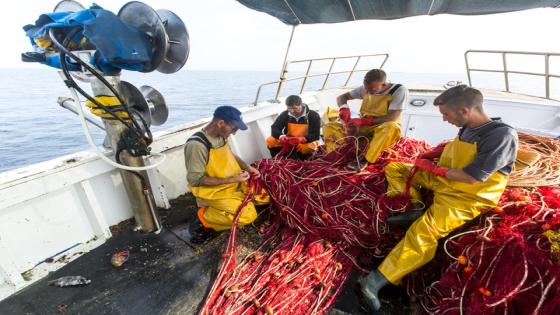 15 June 2017, off the coast of Brindisi, in the Southern Adriatic Sea, Italy - Fishermen clean the nets aboard the Tintora BR 3881 fishing boat off the coast of Brindisi, in the Southern Adriatic Sea,