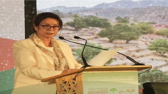 زراعة أركان في المغرب: استراتيجية طموحة لتعزيز الصمود البيئي ضد التحديات المناخية