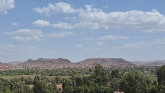 رهانات العلم والتعاون في زمن الندرة والتغيرات العالمية