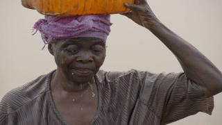 تقرير للفاو يرسم صورة قاتمة عن خطة التنمية المستدامة لسنة 2030