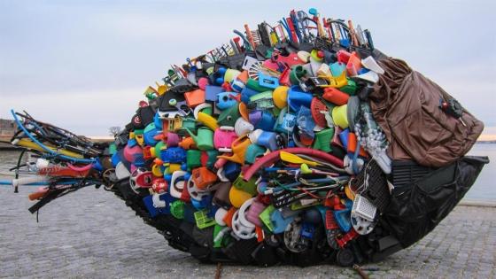 نساء باديس ينخرطن في محاربة النفايات البلاستيكية