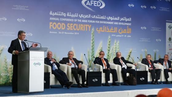 الأمن الغذائي يدعم الاستقرار السياسي