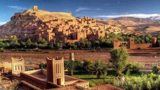 الواحات المغربية تراث إنساني يستحق الحماية والتثمين