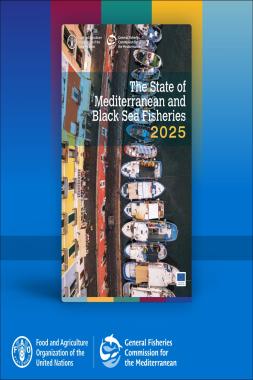 مدخل بحري: حين يلتقي الأزرقان على أعتاب المستقبل