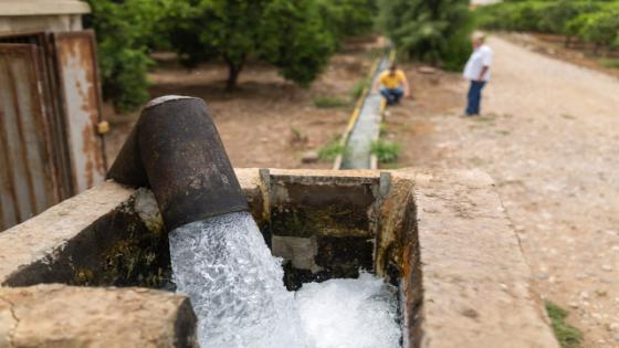 AKKAR, LEBANON: Water is pumped from a well which feeds irrigation canals on a citrus farm in Akkar. Lebanon's northern Akkar region is home to five rivers, all of which are heavily polluted. Credit: Jacob Russell