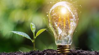 Light bulb and tree,growth concept