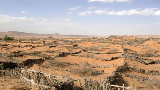 تقرير رسمي يحذّر من مواسم جفاف مقبلة في المغرب