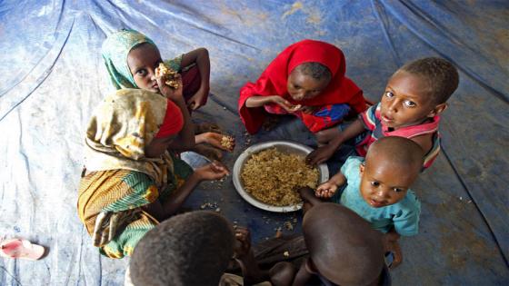 وضع امدادات الغذاء العالمية قوي أمام تقلص قدرة الحصول على الطعام