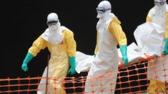 إيبولا والتهديد المتفاقم للأمن الغذائي