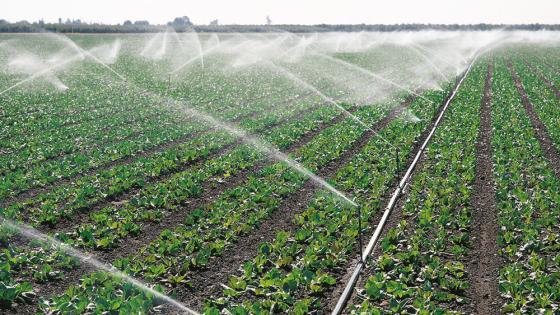 رؤية جديدة لكيفية رفع كفاءة استخدام وإنتاجية المياه في الزراعة