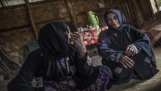 ارتفاع مستويات الجوع الحاد و استمرار الأزمات الغذائية