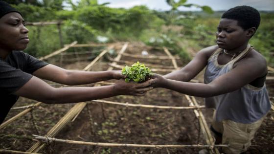تحويل النظم الزراعية والغذائية لتحسين التغذية وحماية الكوكب