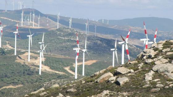 المغرب يتصدر العرب في الطاقة الرياحية