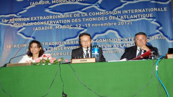 الدورة الاستثنائية الثامنة عشرة اللجنة الدولية للحفاظ على سمك التونة تنعقد بالمغرب