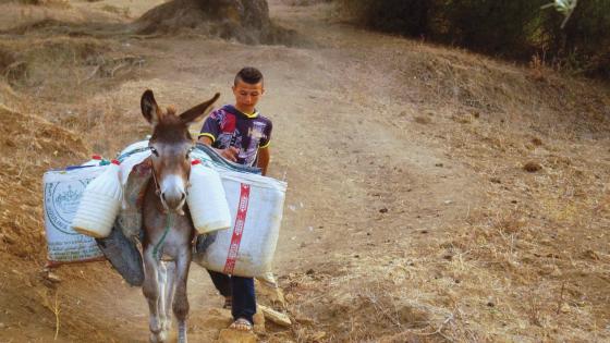 كيف يواجه ريفيّو المغرب أزمة العطش؟