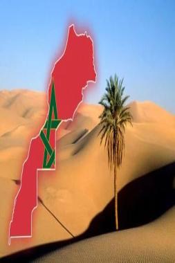 من الحسانية الى الاسبانية ثم العربية: رحلة نص انثروبولوجي في ذاكرة الصحراء المغربية